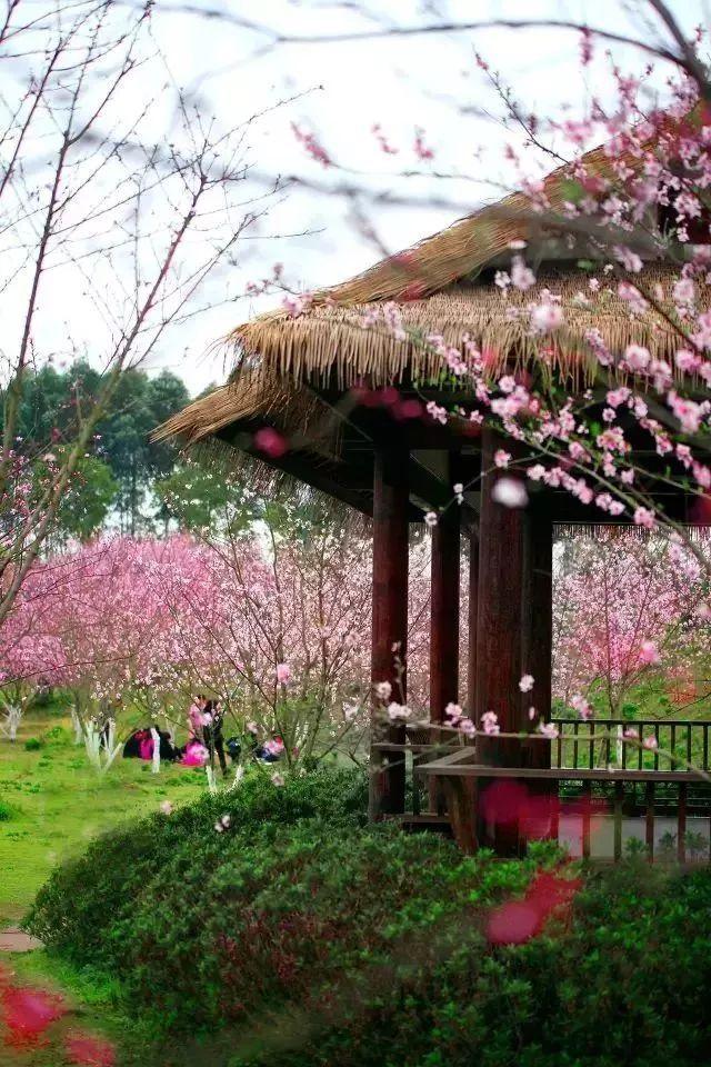 绿色猎人住宅逃生