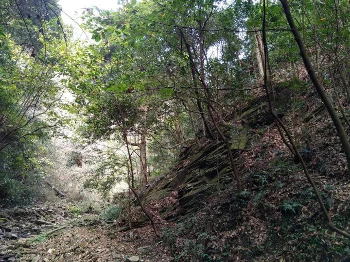 中国心连心化肥：江西心连心获农银金融增资5亿元