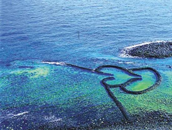 拨毛济世游戏画面