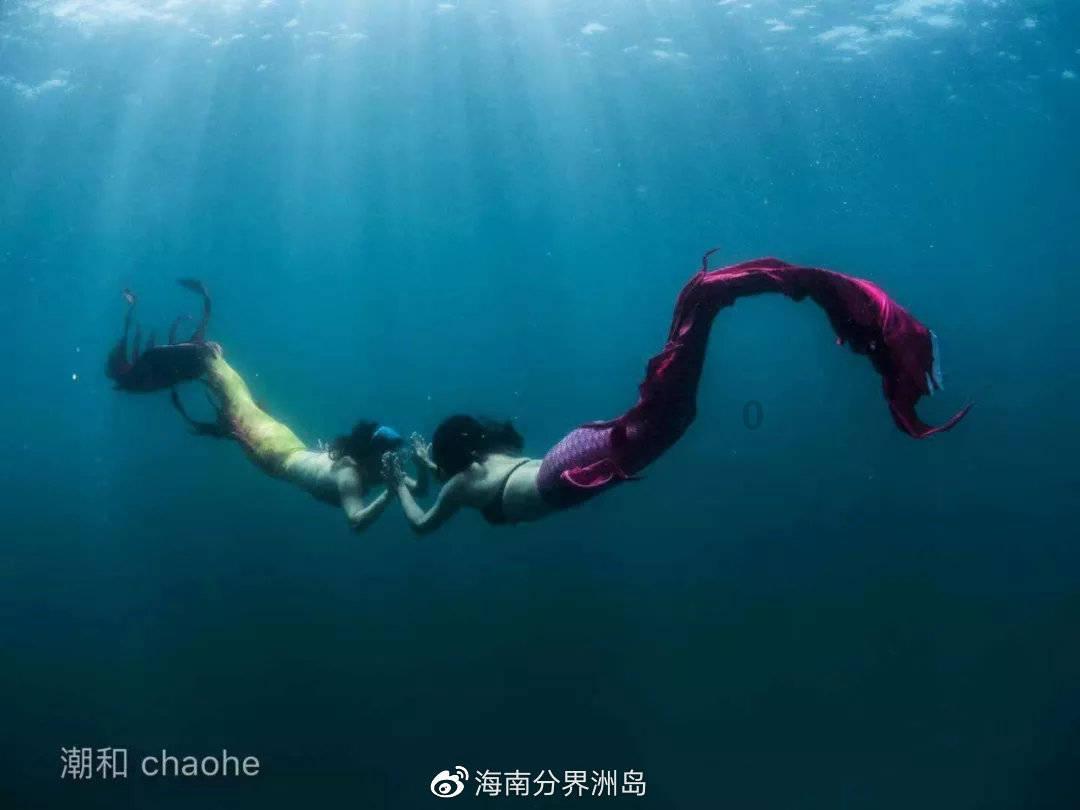 酵母粉的正确使用方法，耐高糖酵母和低糖酵母的区别，看完才懂了