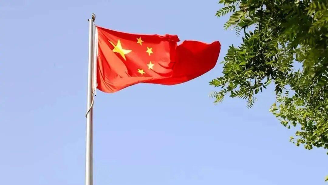细胞分裂4