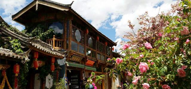 意想不到的旅程